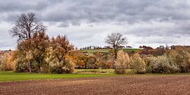 Autumn in the valley of the river Geul by Rob Boon