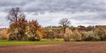 Autumn in the valley of the river Geul by Rob Boon