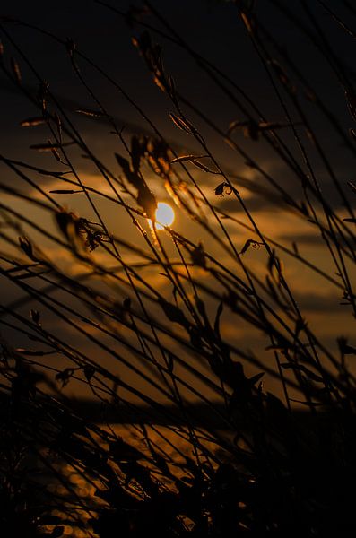 Coucher de soleil par Anna Hense