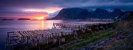 Midnight sun in Lofoten, Norway