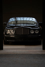 Brutus in the shadows by The Wandering Piston