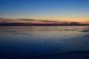 Avondzicht over bevroren Wolderwijd