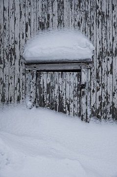 Snow-covered door with peeling paint