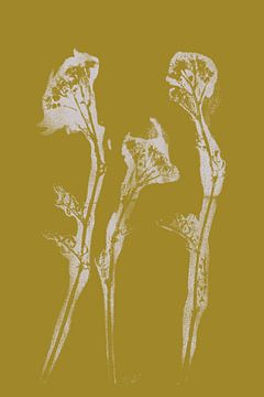 Wabi-Sabi Botanique : Fleurs imprimées sur fond jaune. sur Dina Dankers