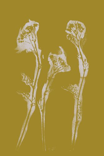 Wabi-Sabi Botanique : Fleurs imprimées sur fond jaune.