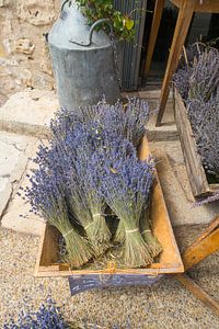 Lavendel zu verkaufen / Getrocknete Lavendelbündel in einem Korb liegend zum Verkauf auf einer Straß