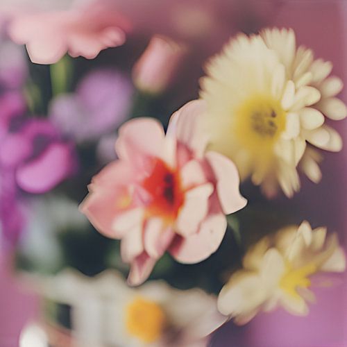 BLOEMEN IN DROOMLAND van Kelly Durieu