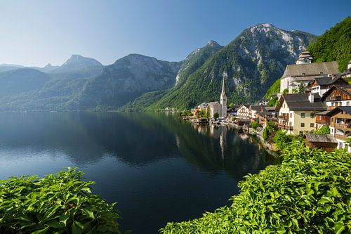 Hallstatt III