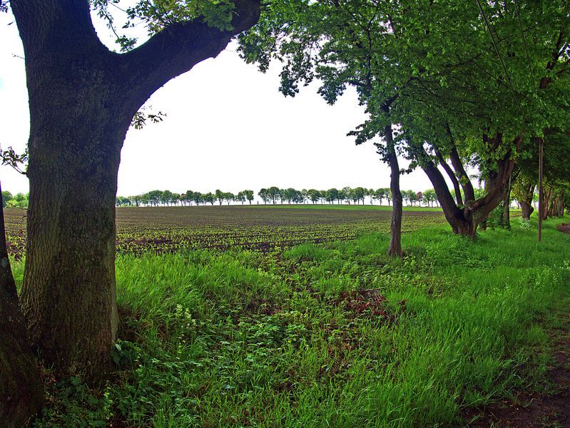 Vierhöfeweg 8 van Edgar Schermaul