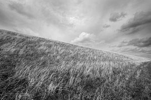 Deich bei Petten (N-H)