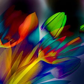 Colourful tulips potporri by Greetje van Son