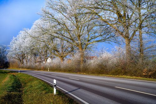 Paysage hivernal le long d'une route de campagne