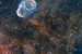 Crescent en een zeepbel in de ruimte van André van der Hoeven