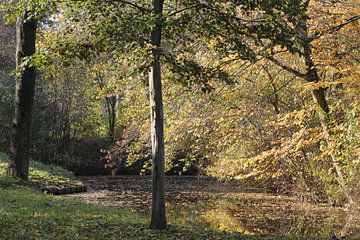 Herfst van Carel van der Lippe
