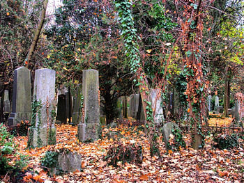 Friedhof 01