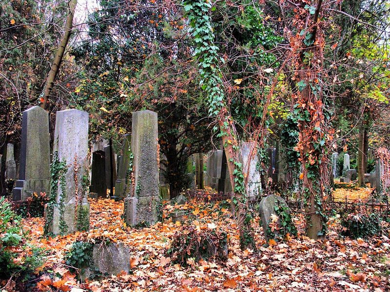 Friedhof 01 von Ilona Picha-Höberth