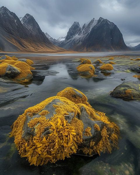 Strandwandeling in IJsland van fernlichtsicht