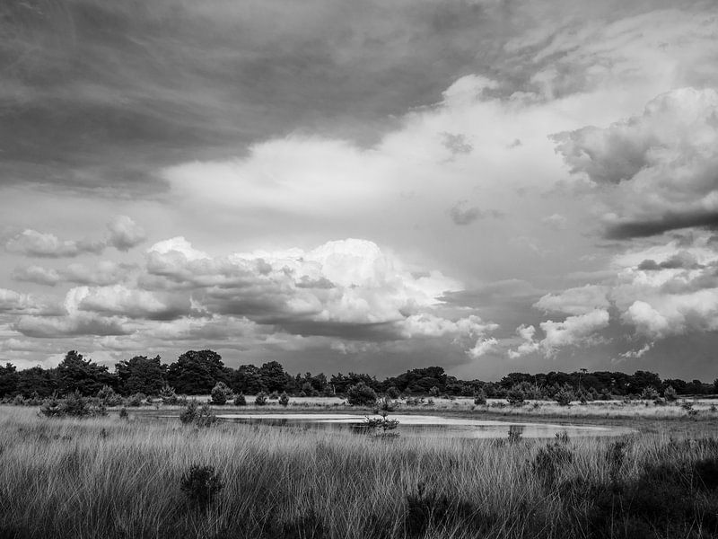 Wolken boven de Kampina zwart-wit van Ronne Vinkx