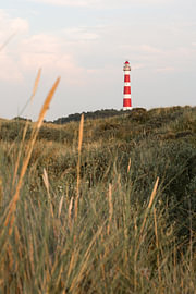 Leuchtturm in einer Dünenlandschaft von Mayra Fotografie