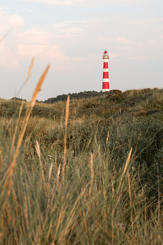 Leuchtturm in einer Dünenlandschaft von Mayra Fotografie