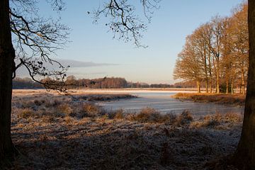 Winter op de vossenberg