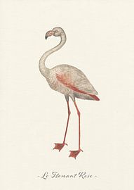 Le Flamant Rose by Walljar