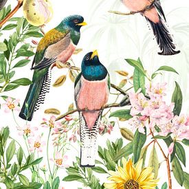 Tropical birds by Evavisser