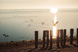 Freiheit in der „Goldenen Stunde“ von Zeeland von First Designs