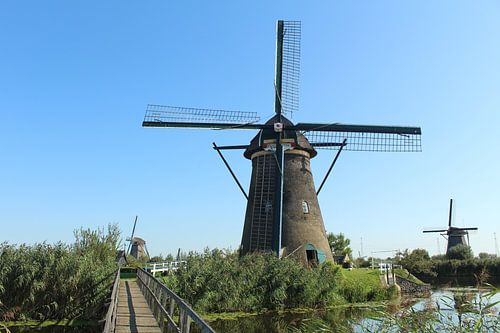 Mühle von Kinderdijk