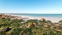 The hard beach at Westkapelle