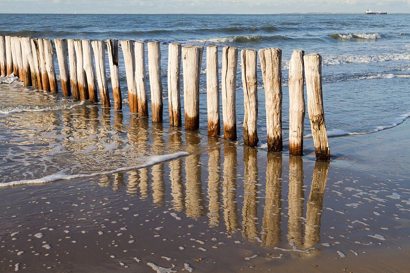 wooden breakwater posts at coastal Cadzand-bad - no. 1 by Arnoud Kunst