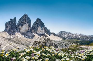 Sommerlicher Blick auf die drei Zinnen in den Dolomiten von Voss Fine Art Fotografie