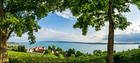 Duitsland, XXL panorama van het constance meer natuurlandschap