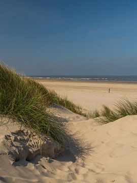 vue magnifique depuis les dunes d'Ameland sur Meindert Marinus