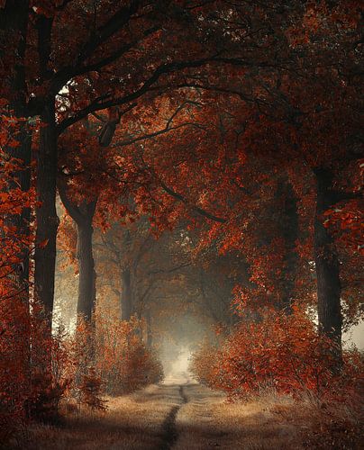 A warm welcome van Rob Visser