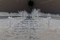 Winters tafereel.