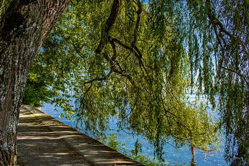 Bodensee : Eiland Mainau van Michael Nägele