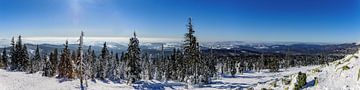 Winterlandschap op de Lusen