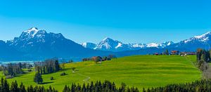 Alpenvorland
