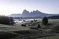 Alpe di Siusi Dolomieten Vroeg in de ochtend van Daniel Kogler thumbnail
