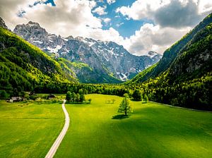 Straße durch das Logar-Tal in den Kamnik-Savinja-Alpen in Slov