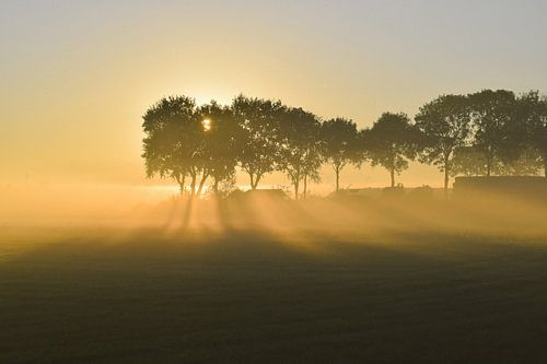Sonnenaufgang Overijssel-Landschaft