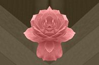 Roze roos von Corina Scheepers-de Mooij Miniaturansicht