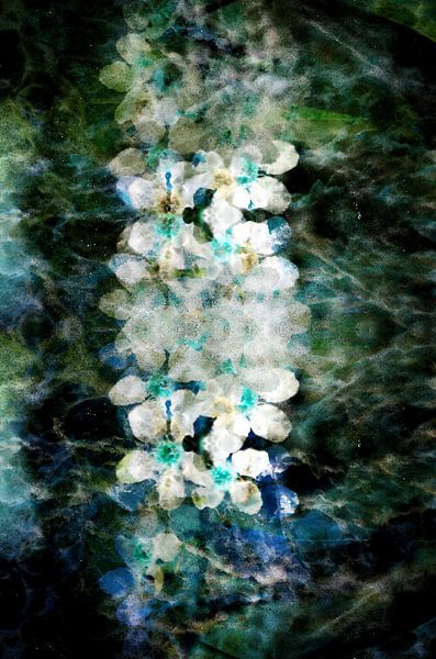 Retro Flower by Anne Bachmann