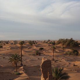 Sahara desert van Jerome Rosier