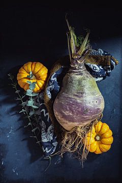 Autumn by Susan Lambeck