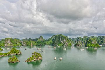 Ha Long Bay, Vietnam van Richard van der Woude