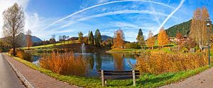 Herbstpanorama am Reitdorfersee