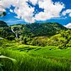 Magical rice fields and waterfall by Corrine Ponsen