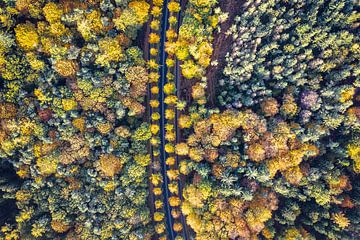 Blick aus der Vogelperspektive auf die Fahrbahn inmitten von Oktobertönen von Jeroen Kleiberg